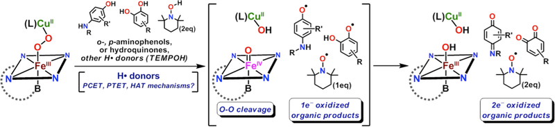 Figure 171.