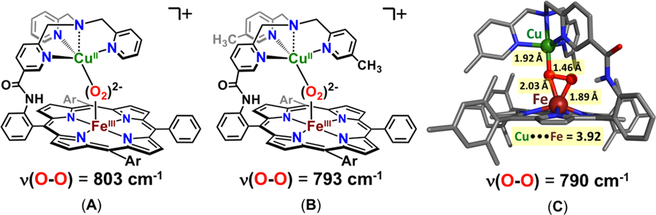 Figure 95.