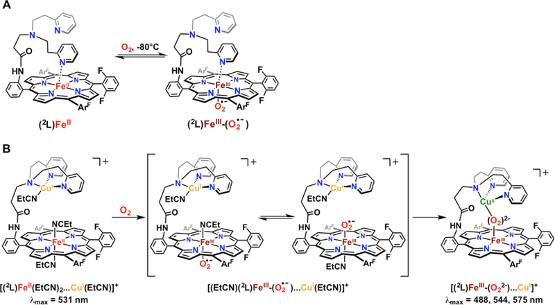 Figure 37.