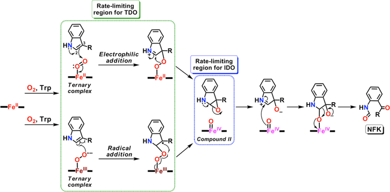 Scheme 4.