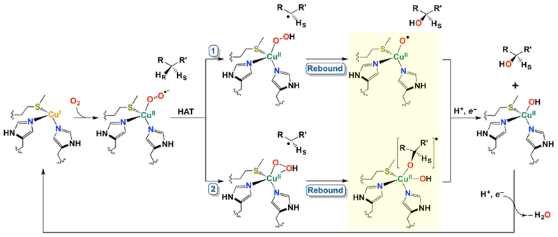 Figure 55.