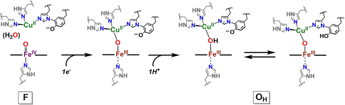 Scheme 25.