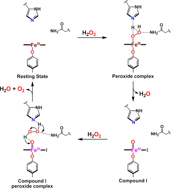 Figure 17.