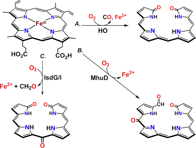 Figure 12.