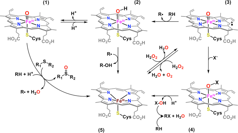 Figure 19.