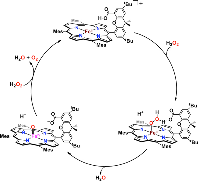 Figure 47.