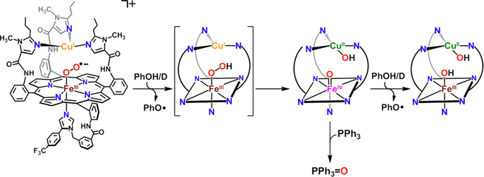 Figure 125.