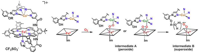 Figure 31.