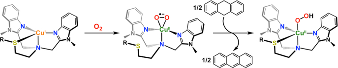 Figure 62.