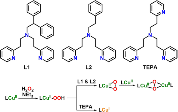 Figure 66.