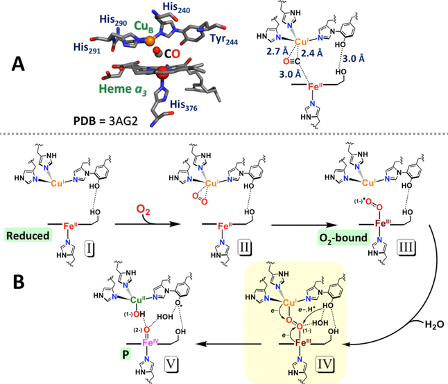 Figure 117.