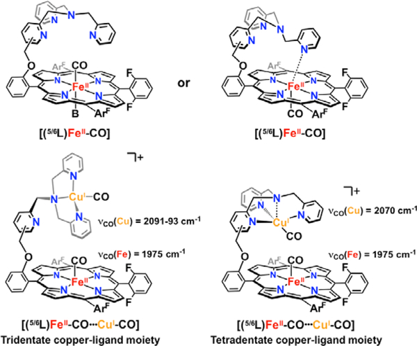 Figure 113.