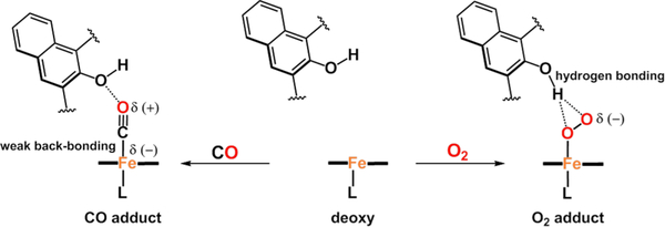 Figure 28.