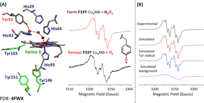 Figure 146.