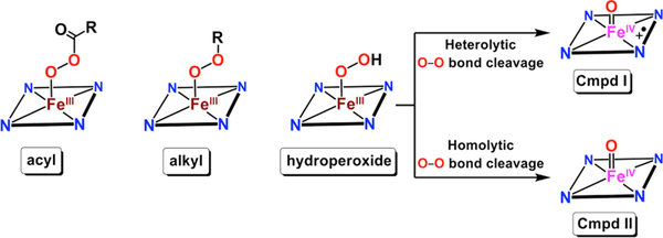 Scheme 8.