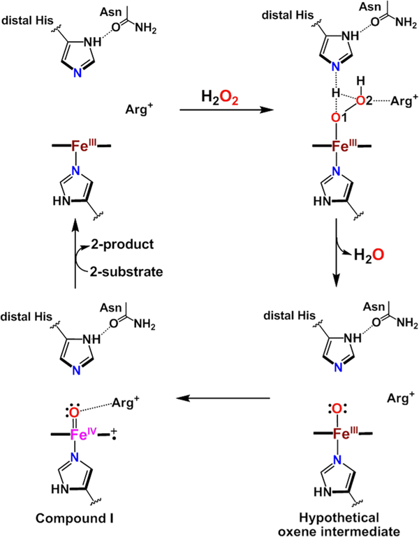 Figure 16.