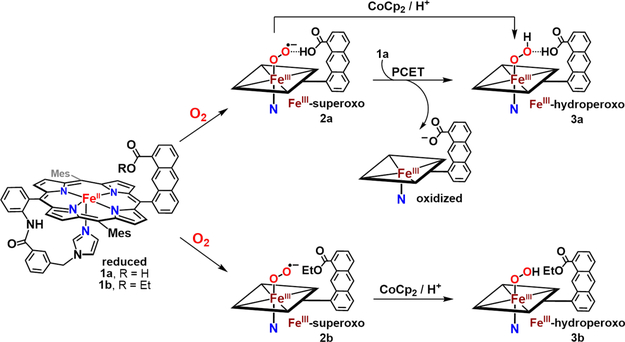 Figure 50.