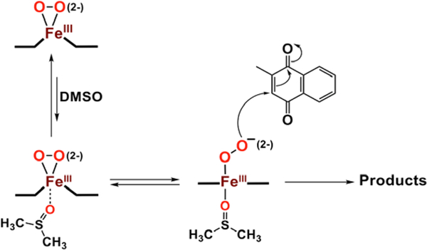 Scheme 11.