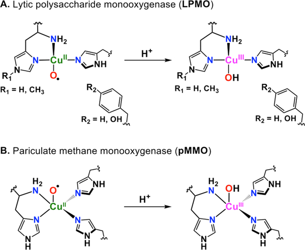 Figure 67.