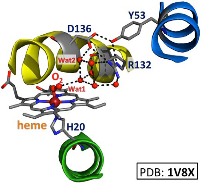 Figure 10.