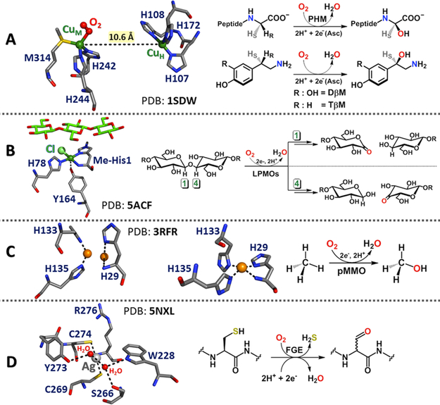 Figure 54.