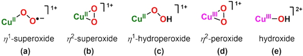 Figure 61.