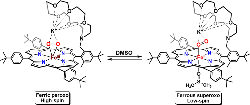 Figure 33.