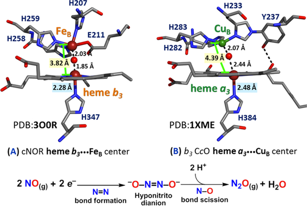 Figure 172.