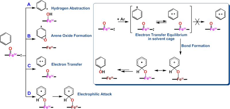 Scheme 5.