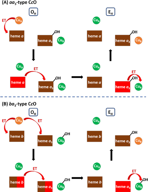 Scheme 26.