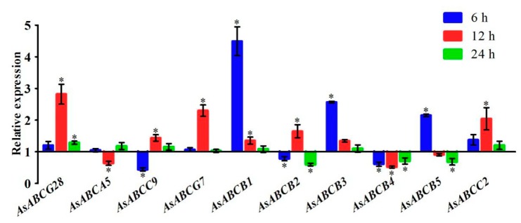 Figure 6