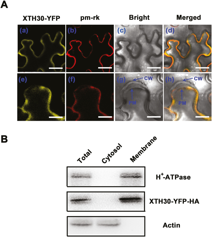 Fig. 3.