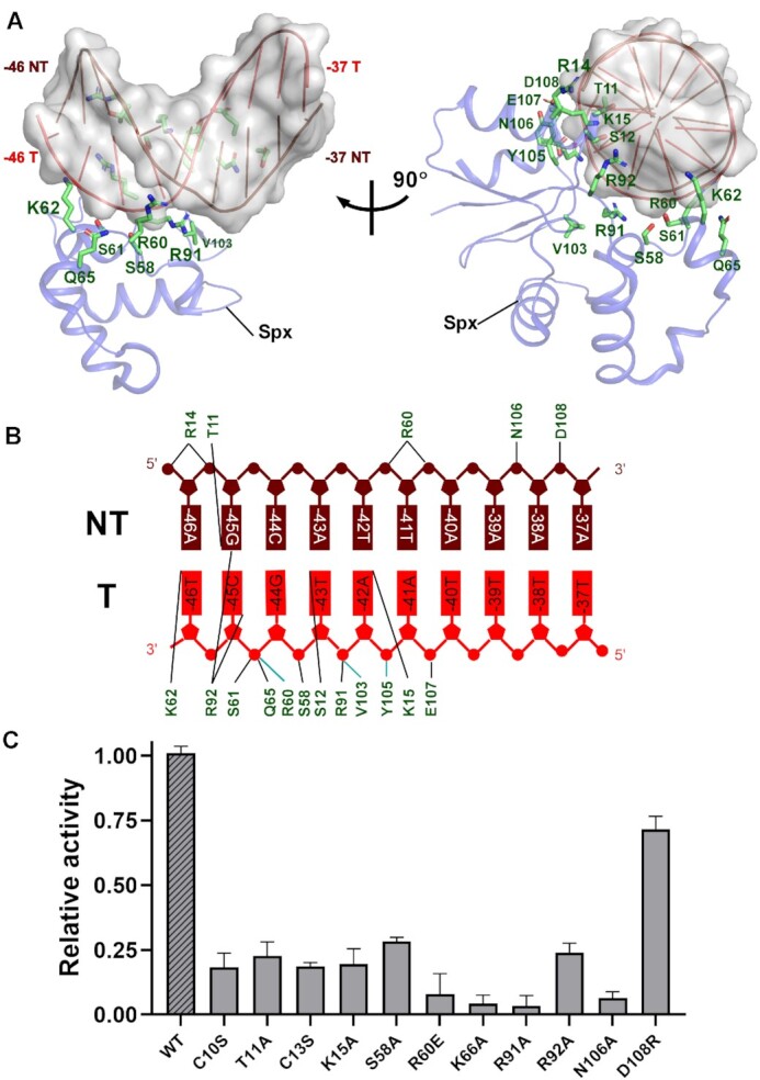 Figure 3.