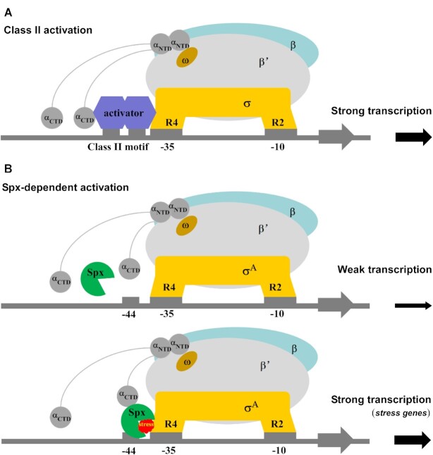 Figure 6.