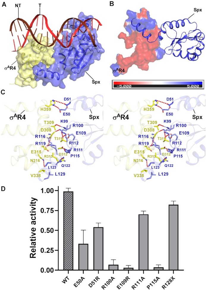 Figure 5.