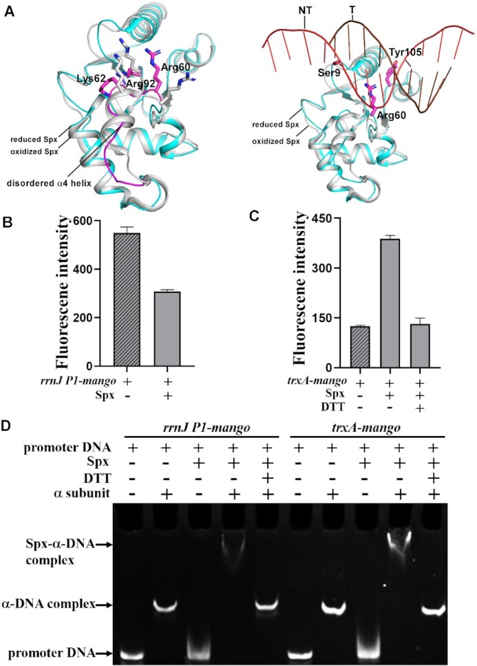 Figure 4.