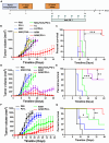 Figure 5