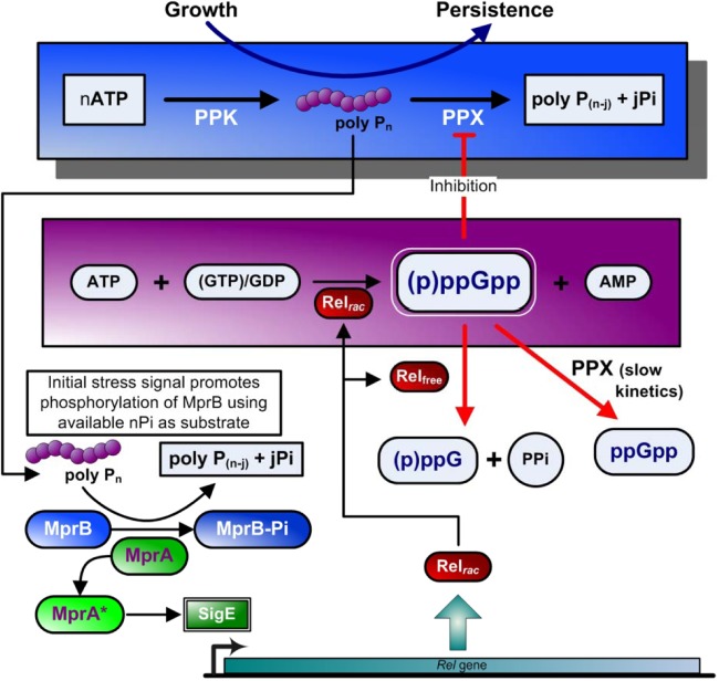 FIG 2