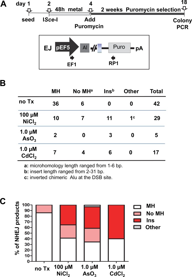 Fig 5