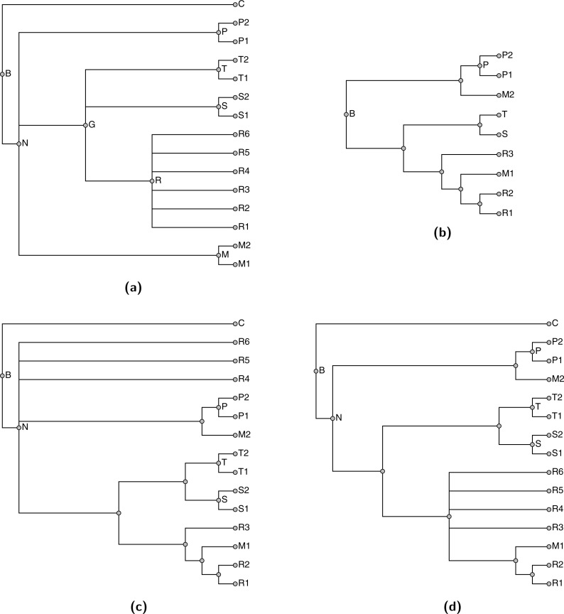 Figure 12