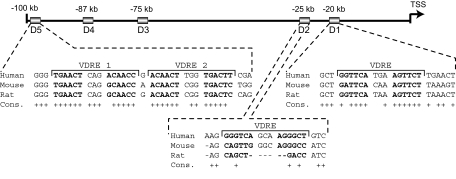 Figure 9