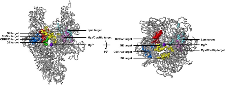 Figure 2—figure supplement 2.