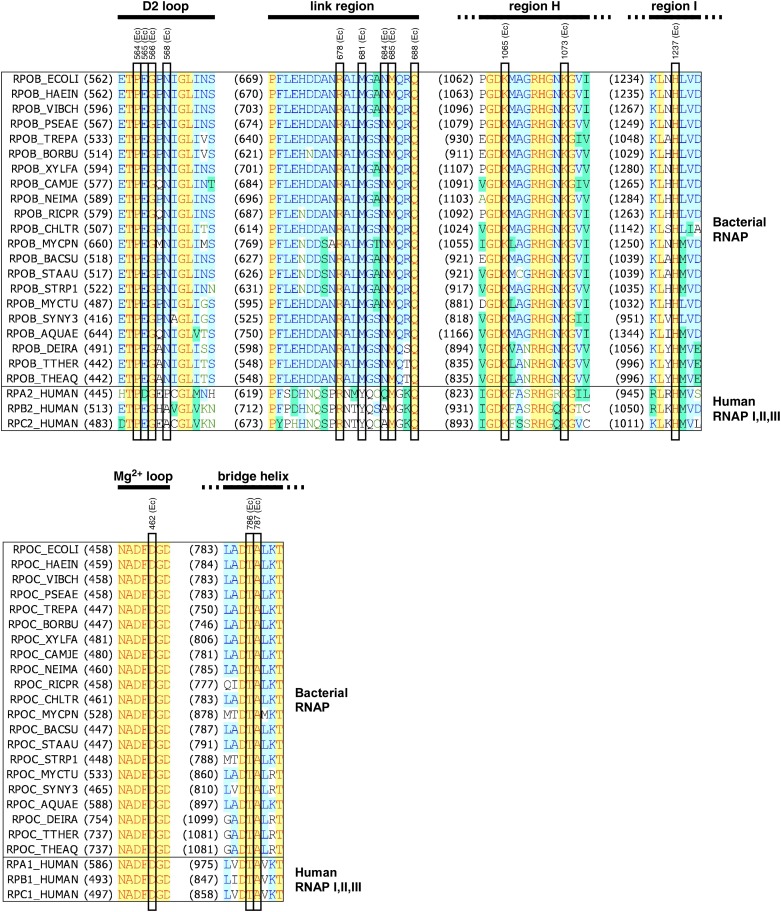 Figure 3—figure supplement 1.