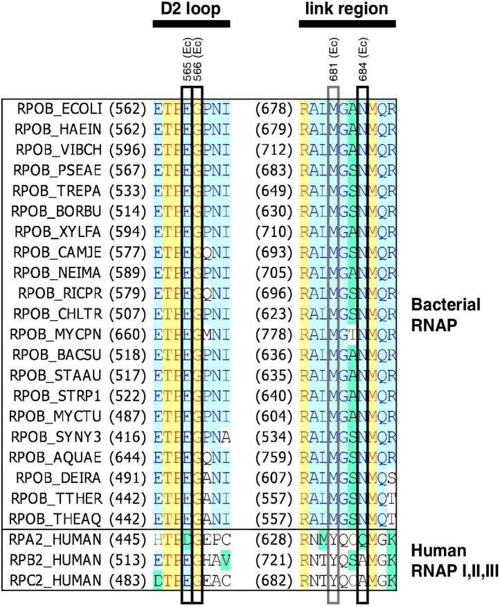 Figure 2—figure supplement 1.