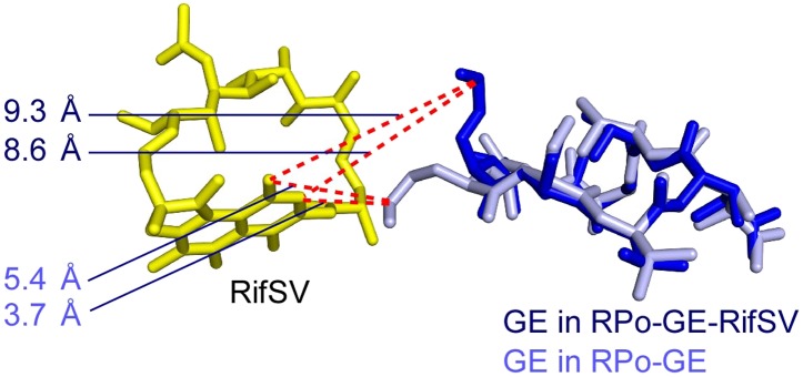 Figure 6—figure supplement 2.