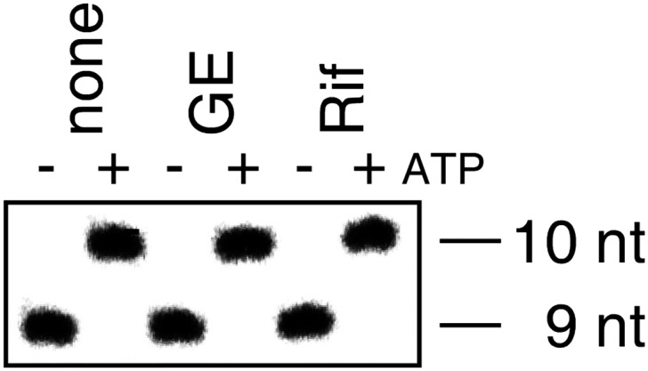 Figure 1—figure supplement 2.