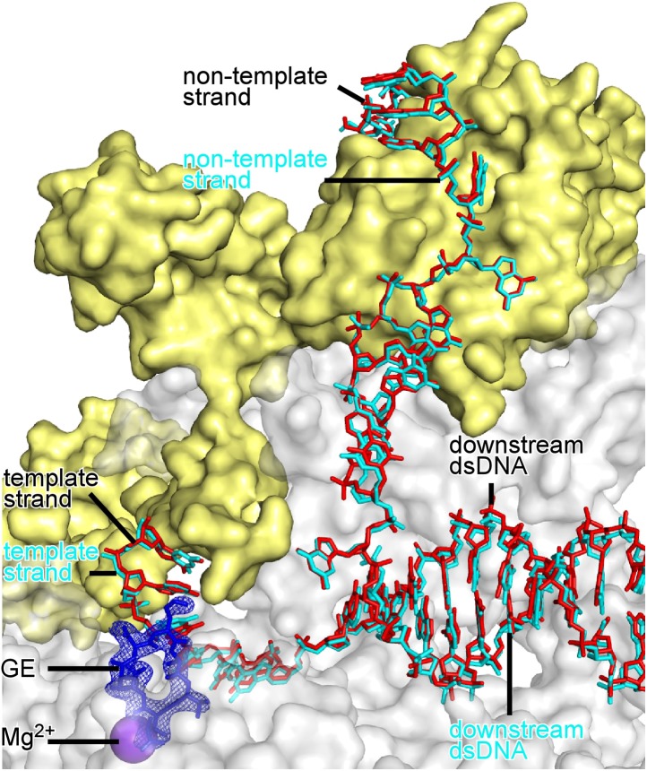 Figure 4—figure supplement 3.