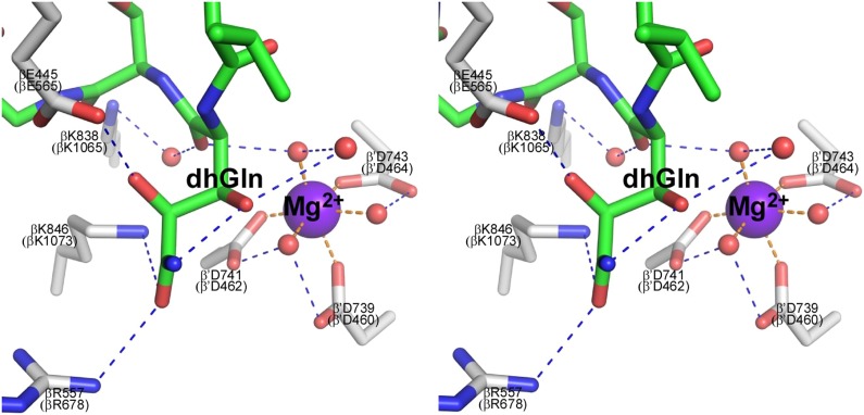 Figure 4—figure supplement 1.