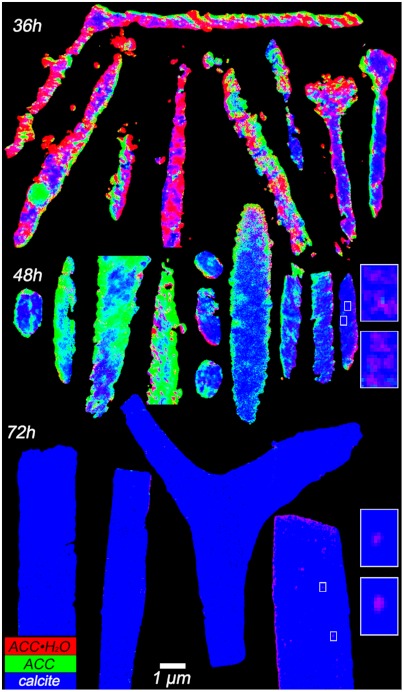 Fig. 3.