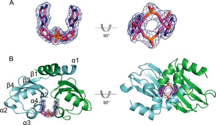 FIGURE 1.